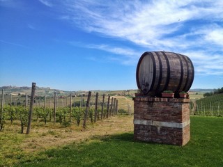 Botte di vino, cantina e vigneti