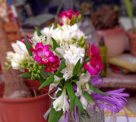 Bouquet of freesia