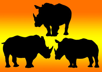 outline of rhinoceros on background