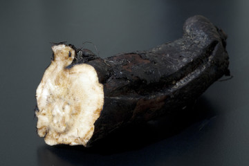 Beinwellwurzel, Symphytum; officinale