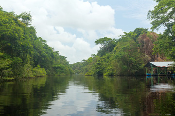Fototapeta na wymiar River flows in the rainforest