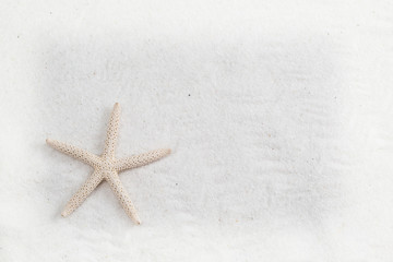 Fototapeta na wymiar starfish on the white sand - copy space