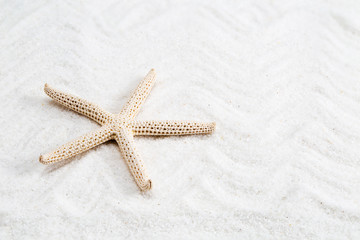 Fototapeta na wymiar starfish on the white sand - copy space