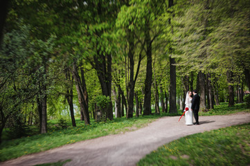 wedding couple at the forest. tilt-shift effect