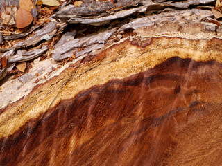 texture of wood for furniture making