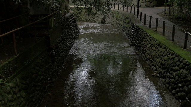 Green preservation in the heart of Tokyo.