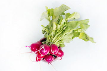 Radish isolated on white background