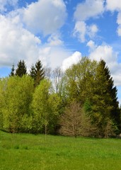 Obraz premium Naturlandschaft im Frühling