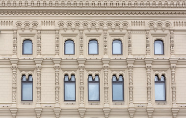 Close up of a Capybara (Hydrochoerus hydrochaeris) and two babie