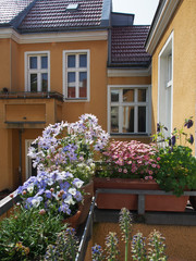 blühende Balkonpflanzen im Dachgeschoss