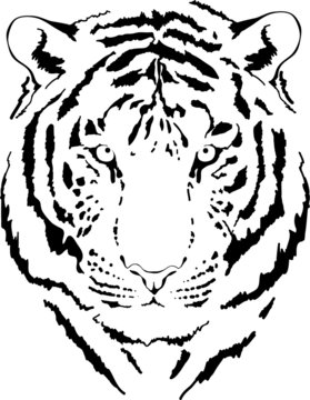tiger head in grey interpretation 5