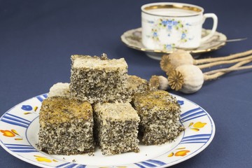 homemade poppy seed cake on a table with a tablecloth