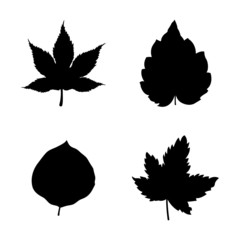 Fototapeta premium Icon set of Leaves
