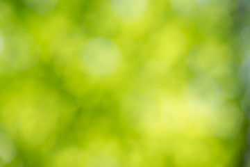 green bokeh background