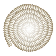 vector rope spiral background 