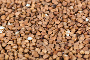 Buckwheat background