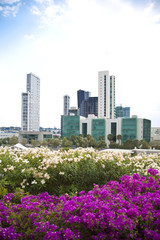 Buildings