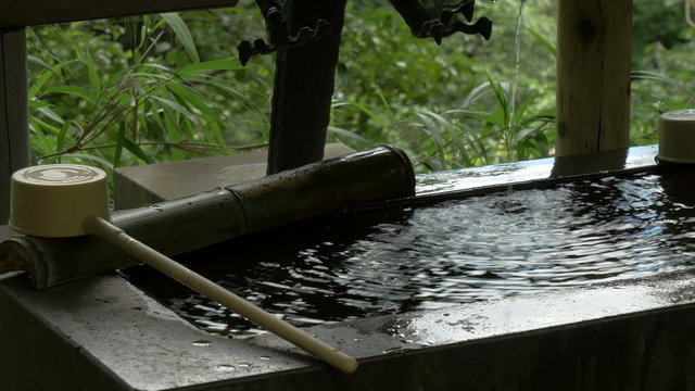 Green preservation in the heart of Tokyo.
