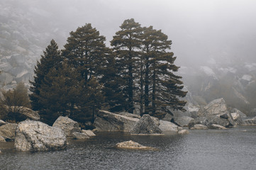 Laguna negra lake, Soria, Spain. Little lake in a pine forest