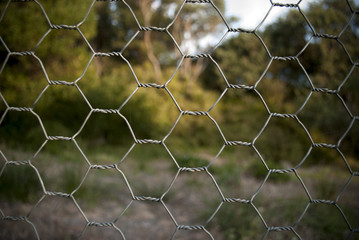 chicken wire fence
