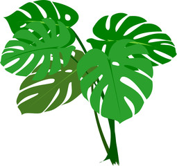 Jungle plant or home and office decorative, svg 19kb 10 parts