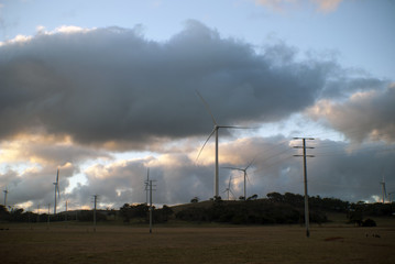 Obraz premium Wind Turbines in a field