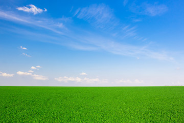 Green and blue color background of field
