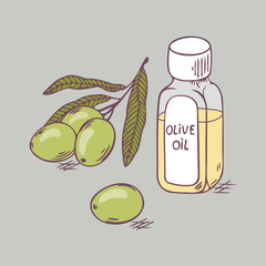 Olive oil in bottle with branch close up. Doodle illustration
