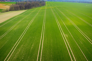 Aerial view of the field