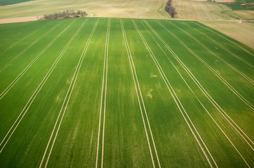 Aerial view of the field
