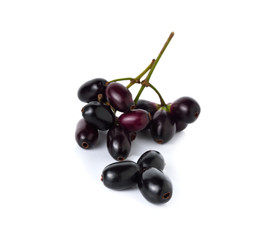 Jambolan plum or Java plum with stem on white background