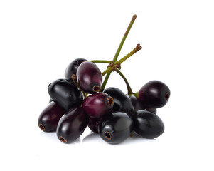 Jambolan plum or Java plum with stem on white background
