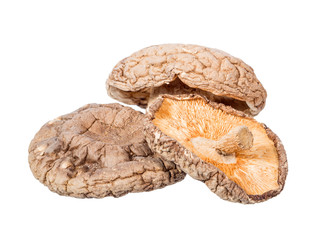 dried shiitake mushroom isolated on white