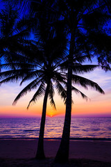 Naklejka na ściany i meble Beautiful sunset. Sunset over the ocean with tropical palm tree