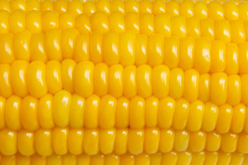 Corn