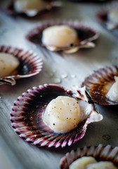Seasoned Raw Scallops on a Baking Tray Ready to Cook
