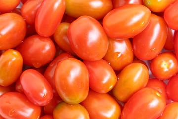 photo of very fresh tomatoes
