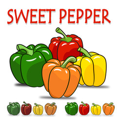 Set of four color, green , red , yellow, orange sweet pepper