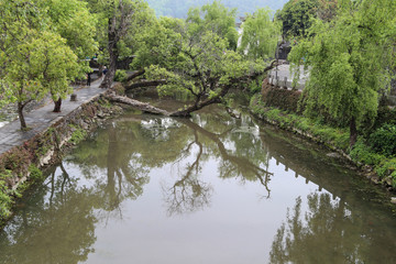 Fototapeta na wymiar the landscape in heshun, yunnan, china