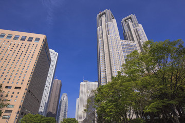 Fototapeta na wymiar 東京都庁と西口近代ビル