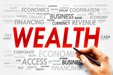 WEALTH word cloud, business concept