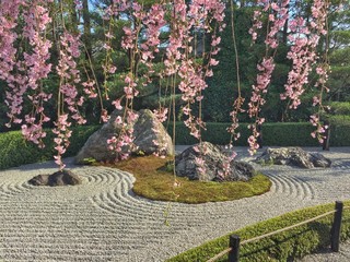 春の日本庭園