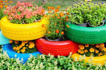 The colorful flowers and tire pots
