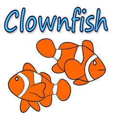 Illustration of a clownfish isolated