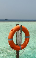 The life Buoy or Swim ring at Maldives