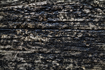 old wood background