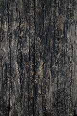 old wood background