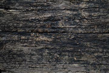 old wood background