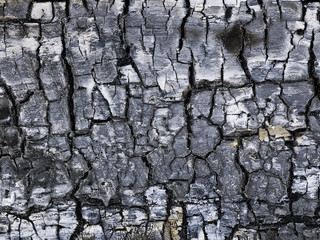 Holz verbrannt
