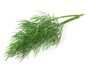 dill